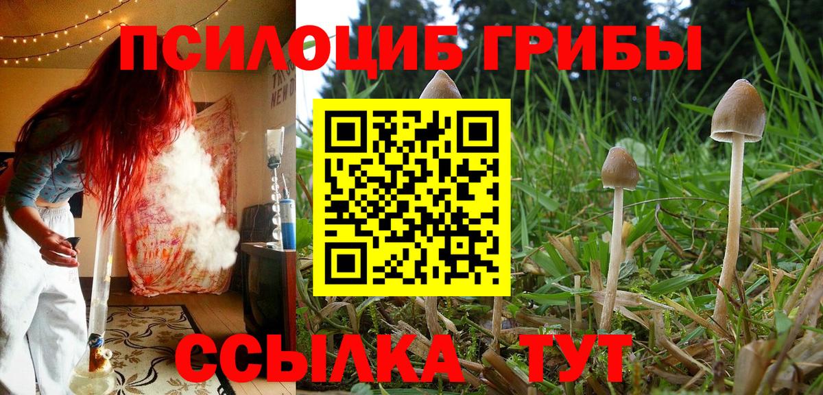 Галлюциногенные грибы мухоморы  Вход с VPN  Полевской  Псилоцибиновые грибы Psilocybe 